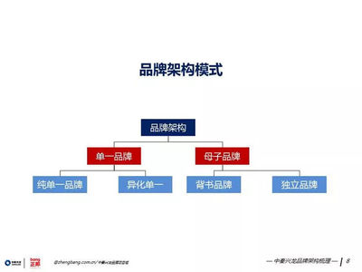 策世品牌觀 七日微光，照亮品牌管理之路