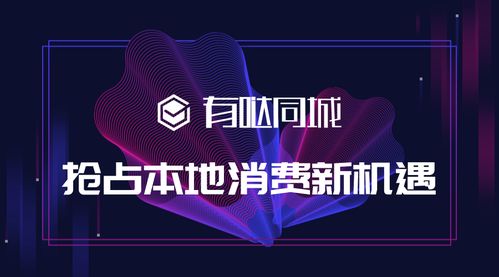 同城本地分類信息發(fā)布系統(tǒng)盈利模式 有調(diào)小程序